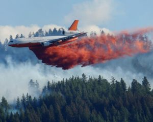 Fighting wildfires and the virus